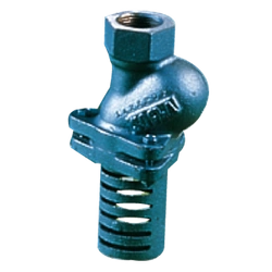 Kosz ssawny gwintowany Typ 30 DN 1" Socla